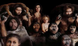 人工进化无删减视频,无删减视频深度解析